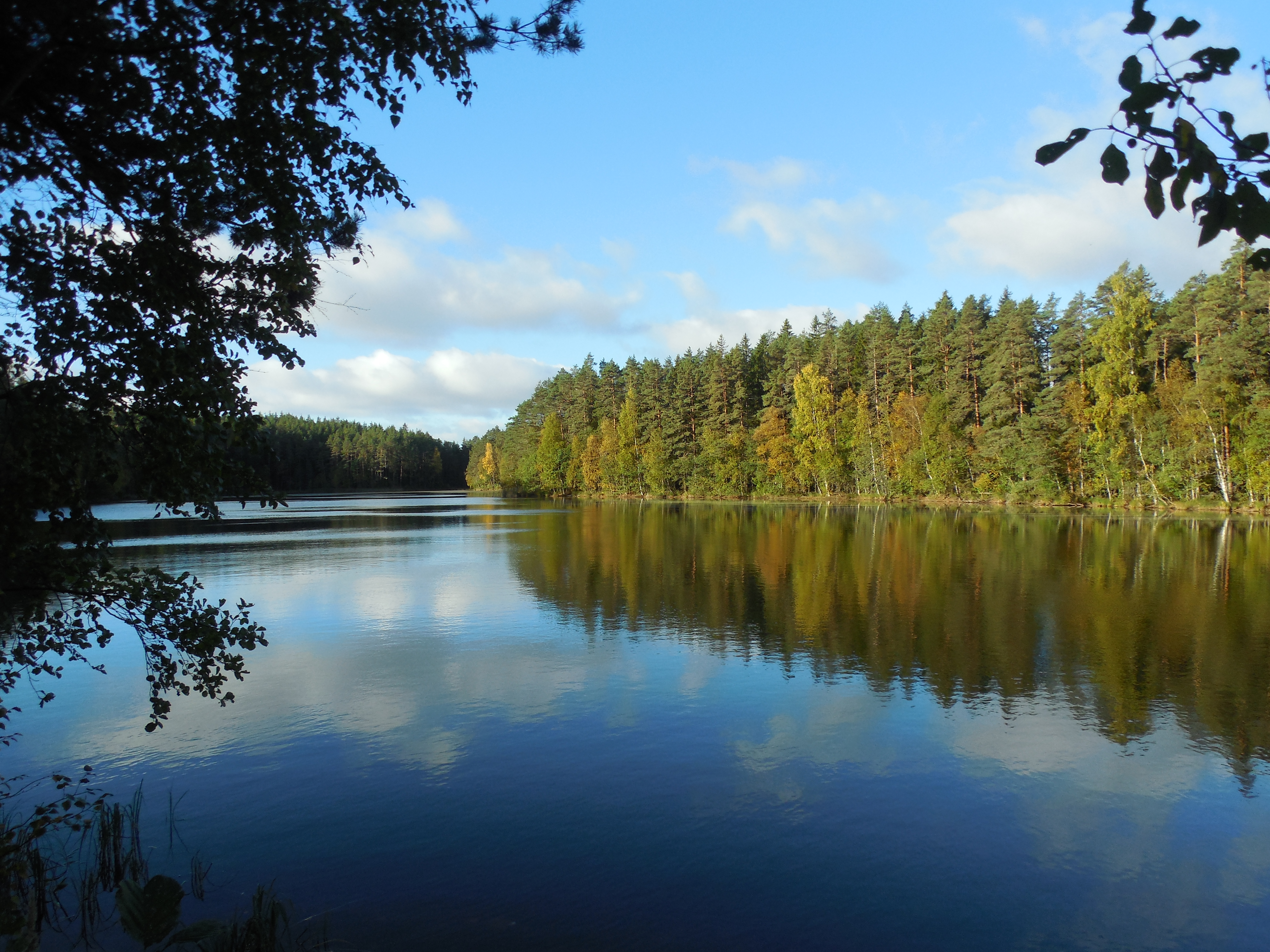 Hommikune Järv