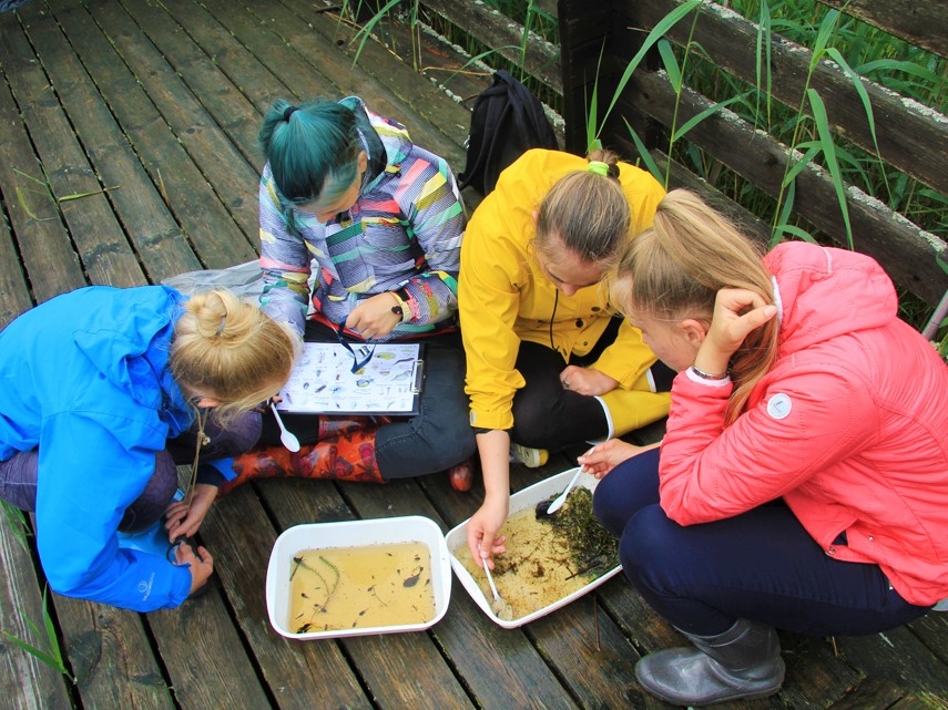 Tartu loodusmaja Zooloogiaring (TÜ loodusmuuseumis)