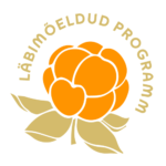 läbimõeldud programm