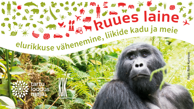 Juhendatud rühmakülastused näitusel “Kuues laine” ja laenutusvõimalus koolidesse