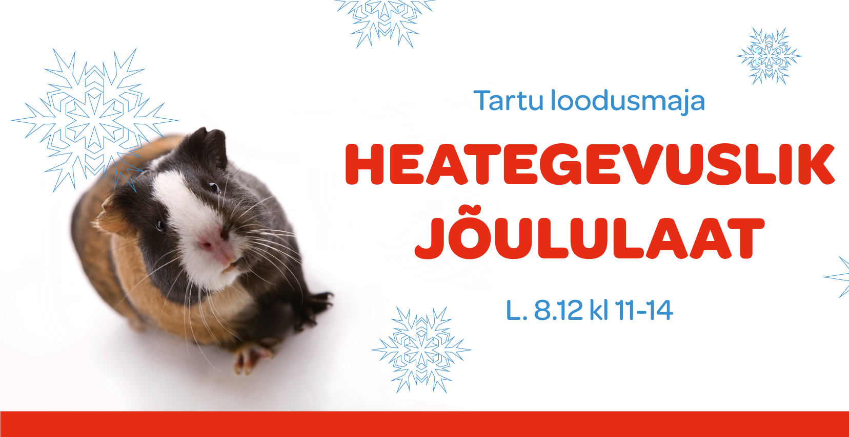 Tartu loodusmaja heategevuslik jõululaat 8.12.2018