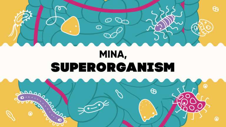 Uus suvine erinäitus “Mina, superorganism” ootab külastajaid!