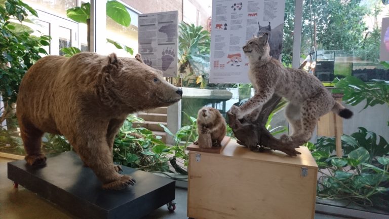 Loomaviktoriin loodusmaja õpilastele 11.-15.02.2019