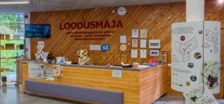 Tule meie juurde tööle – otsime infospetsialisti!