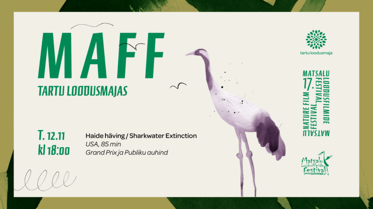 MAFF filmiõhtu “Haide häving”/”Sharkwater Extinction” 12.11.2019