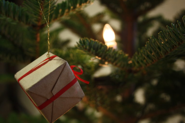 Loodusmaja lahtiolekuajad pühadeajal 2019