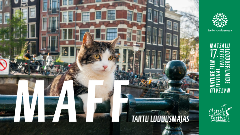 MAFF filmiõhtu “Kassi Amsterdam” ja “Nüüd või ei kunagi” 28.01.2020