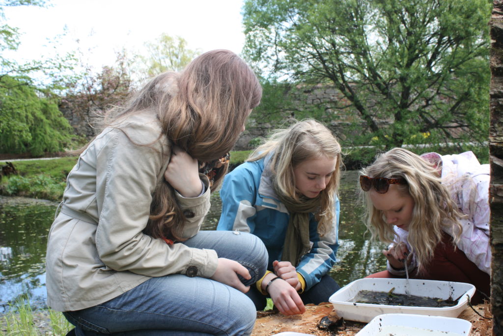 Läänemere Bioblitz