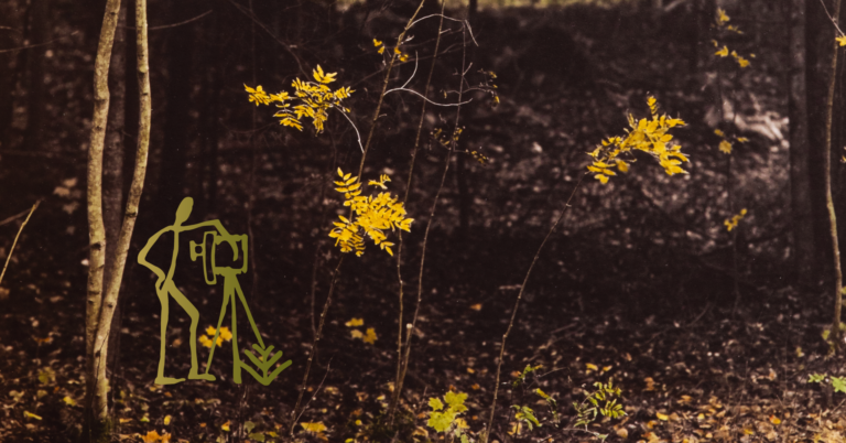 Fotograaf Toomas Kalve näituse „Koloreeritud loodus“ avamine 16.10.2020