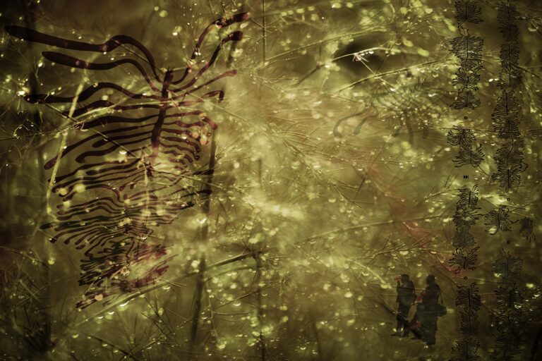 Peeter Lauritsa fotonäituse „Randevuu metslastega“ avamine 29.10.2020