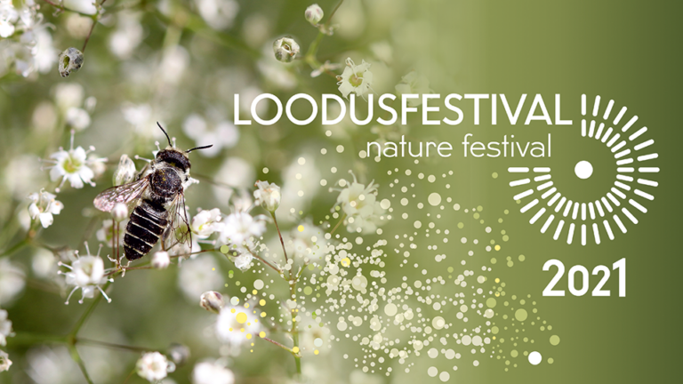 Loodusfestivali filmiõhtud ja näitused ootavad vaatajaid 9.-10.06.2021