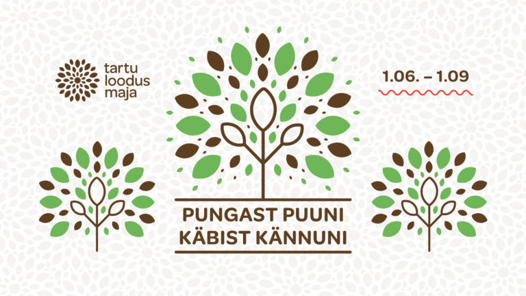 Sel suvel saab loodusmajas lahendada avastusrada “Pungast puuni, käbist kännuni” 01.06-01.09.2021