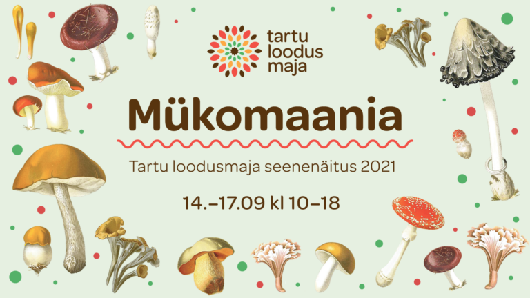 Seenenäitus “Mükomaania” 14.-17.09.2021