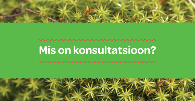 Mis on konsultatsioon?