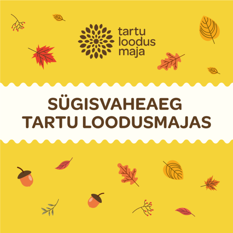 Sügisvaheaja tegevused Tartu loodusmajas 25.-29.10.2021