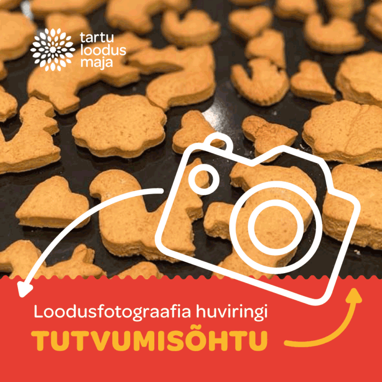 Loodusfotograafia huviringi tutvumisõhtu Jõulueri 22.12.2021