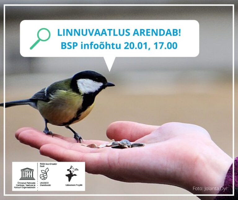 Läänemere Projekti tegevused aasta alguses – talvised linnuvaatlused ja seminarid
