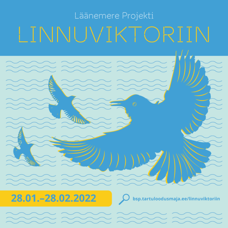 Läänemere Projekti linnuviktoriin 28.01-28.02.2022