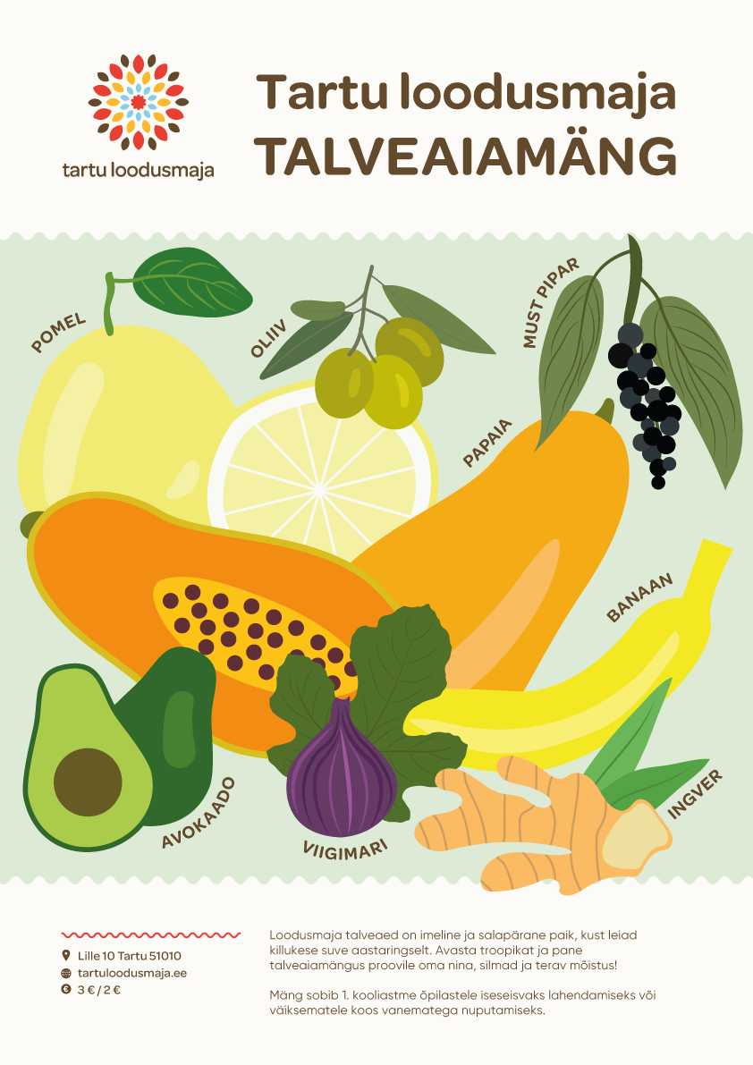 talveaiamäng