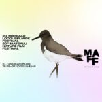Matsalu loodusfilmide festivali külalislinastused Tartus 28.-30.09.2022