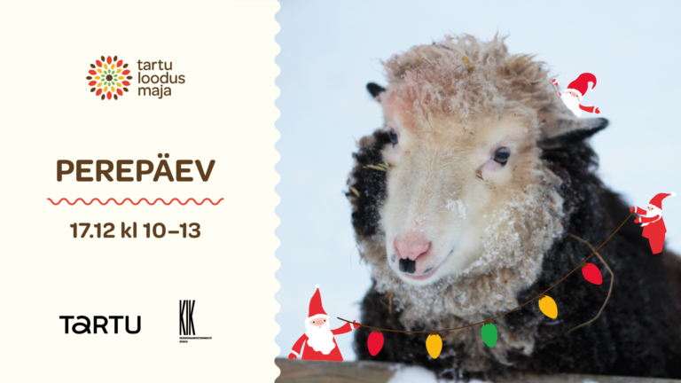 Perepäev “Jõulud pehmetele ja karvastele” 17.12.22