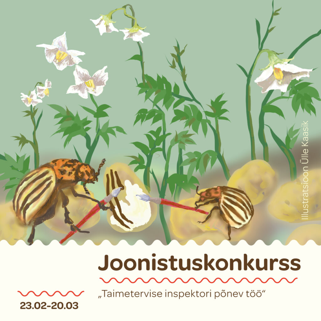 taimetervise joonistuskonkurss