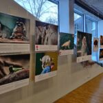Tallinna loomaaia fotovõistluse ZoFo2023 paremad tööd jõudsid saali