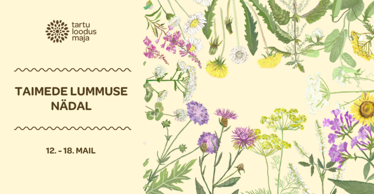 Taimede lummuse nädal 12.-18.mai 2025