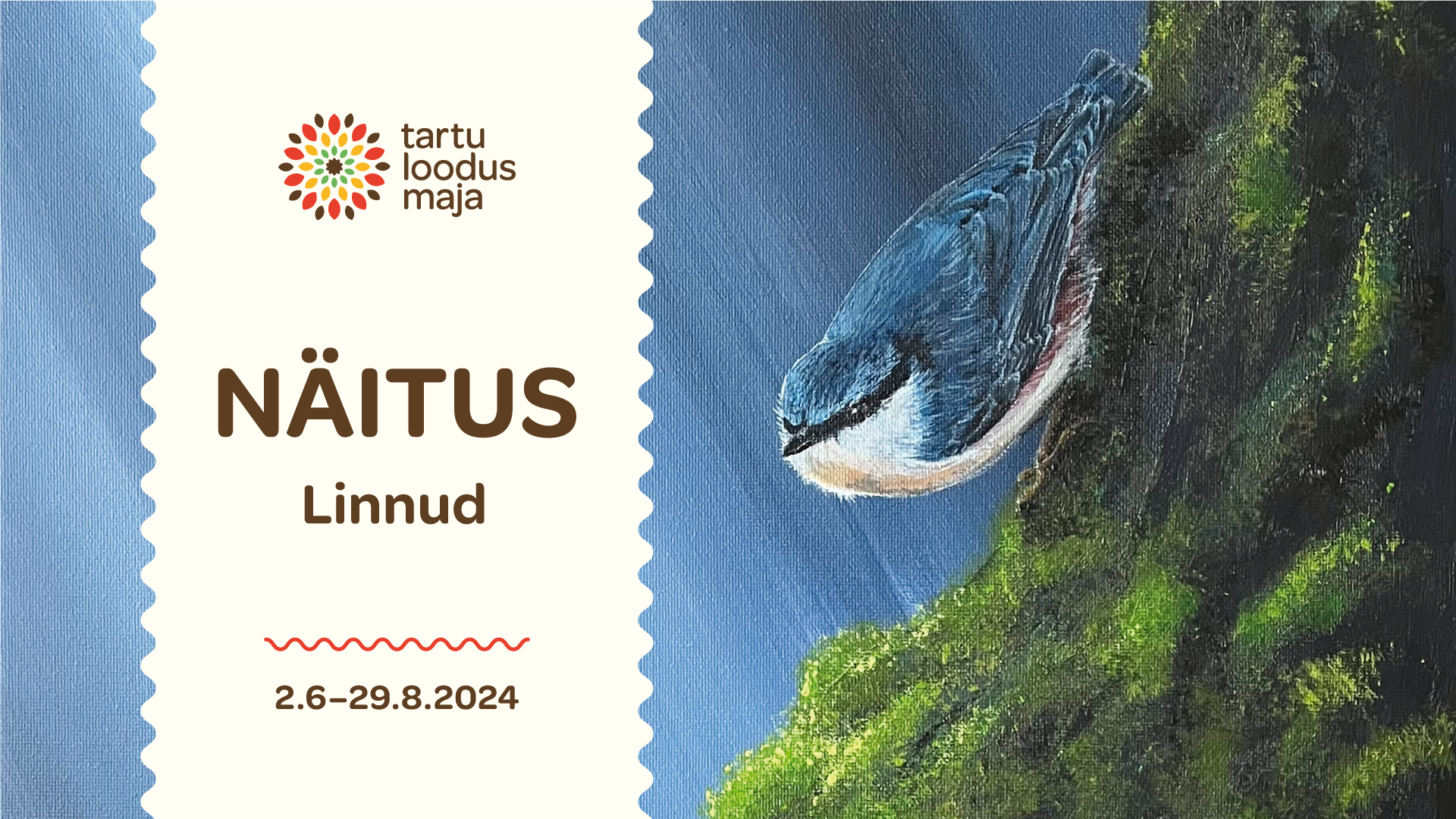 Maalinäitus “Linnud” on nüüd suveks avatud