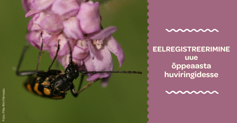 Eelregistreerimine uue õppeaasta huviringidesse