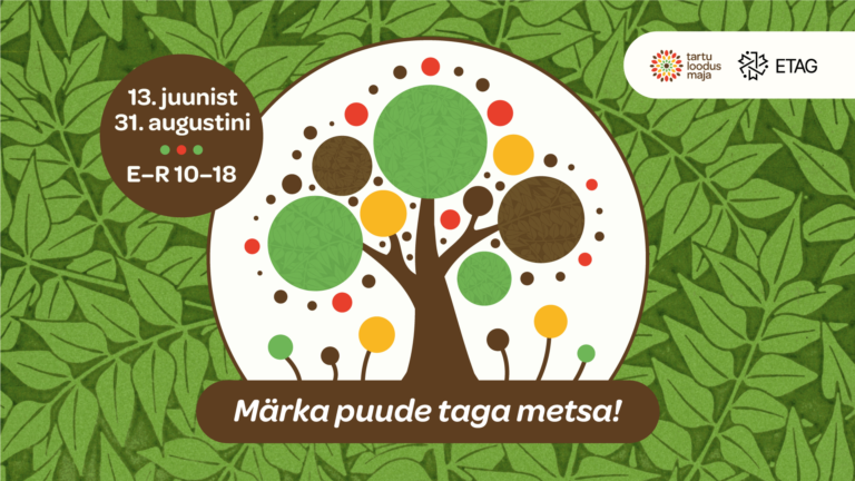 Suvine näitus “Märka puude taga metsa” on avatud!