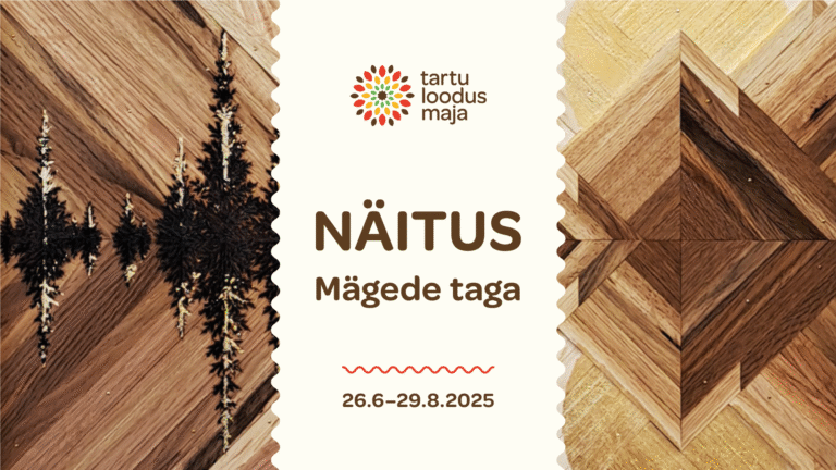 Tartu loodusmaja saalis avatud Malin Pihlapuu näitus “Mägede taga”.