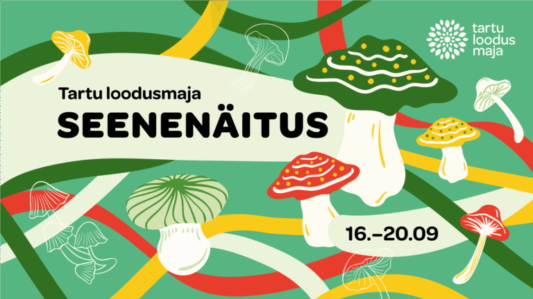 SEENENÄITUS 16. – 20. SEPTEMBRIL!