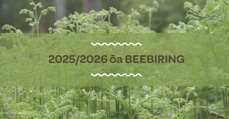 Uue õppeaasta beebiringide ajad selgumisel. Otsime uut õpetajat