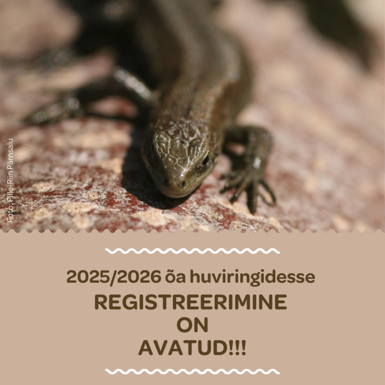 2025/2026 õppeaasta huviringidesse registreerimine on avatud!