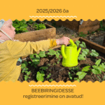 TÄHELEPANU! Beebiringidesse registreerimine on avatud!