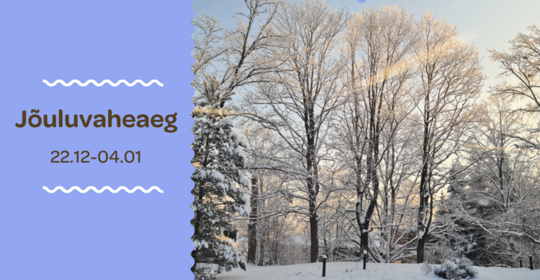 Huvikooli jõuluvaheaeg 22.12-4.01