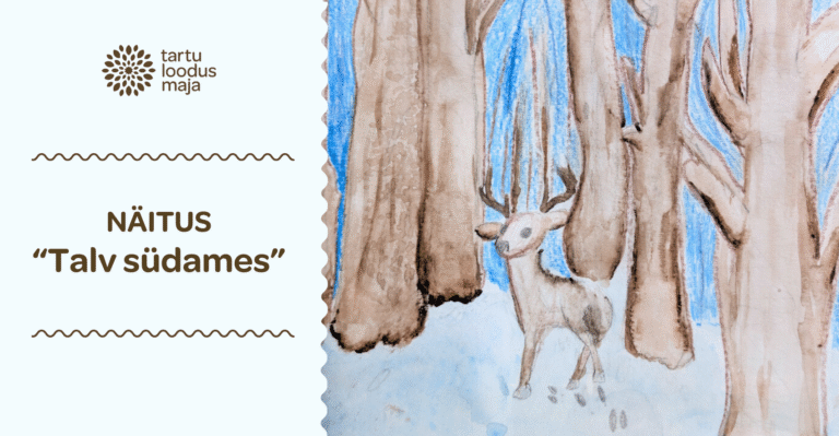 Näitus “TALV SÜDAMES”