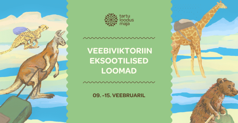 Veebiviktoriin: Eksootilised loomad 9.-15.veebruar 2026