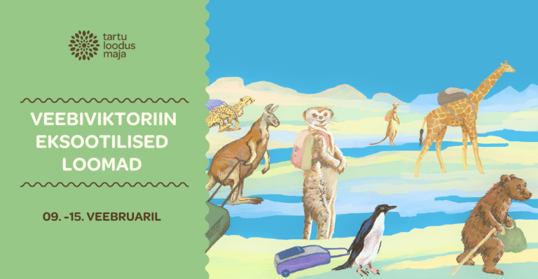 Veebiviktoriin: Eksootilised loomad 9.-15.veebruar 2026