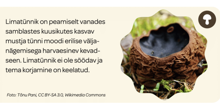 Eesti looduse aasta tegijaid tutvustavad materjalid on valminud!