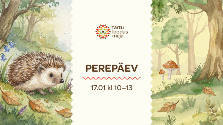 Perepäev – siil Jaanus kutsub külla!