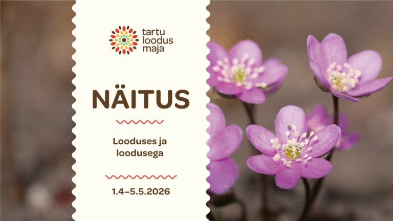 Uus näitus: “Looduses ja loodusega”