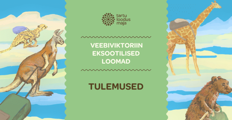 Veebiviktoriini “Eksootilised loomad” TULEMUSED