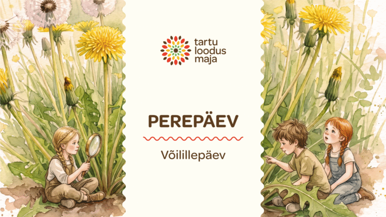 Võilillepäev 16.05 kl 10-13