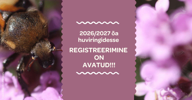 2026/2027 õppeaasta huviringidesse registreerimine on avatud!