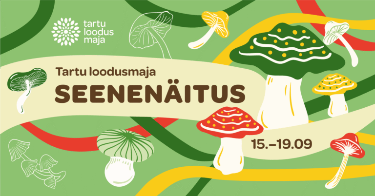 SEENENÄITUS 2026