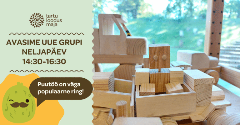 Avame uue grupi puutööringile!