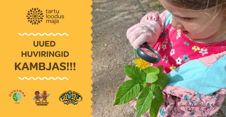Avame uud huviringid KAMBJAS!