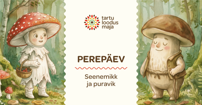 Perepäev “Seenemikk ja puravik. Suur seeneseiklus” 19.09 kell 10-13